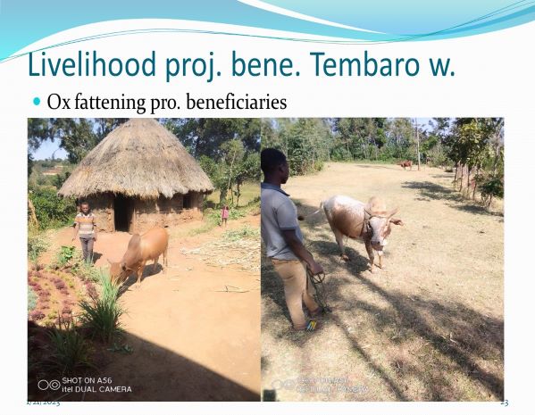 Livelihood project. beneficiary. Tembaro woreda.
